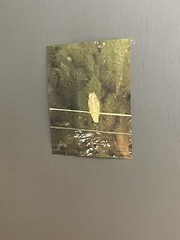 Landscape photograph- Owl At Night #3 8.5×11 Print