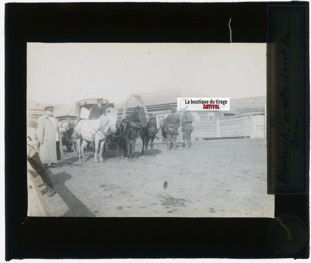 Sretensk, Russia, Horses, Photo Glass Plate, Black & White, Positive 8.5×10 Cm