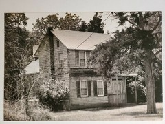 HOUSE AND TREES LARGE ORIGINAL SIGNED ART PHOTO B&W STETTNER VTG MATTE NJ CAMERA