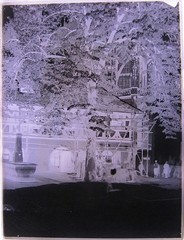 Freiburg Old Münster Building Hut around 1900 Large Hist. Glass Negative