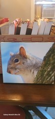 11x14in Canvas Print For Sale.