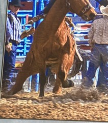 RARE Artist Photographer Catie Moore Signed Photo Filter Framed Art Rodeo 2013