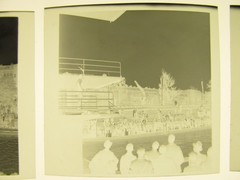 Hamburg? Free Swimming Pool Tower Jumping 16 x Genuine historical negatives
