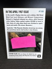 1995 Playboy Ava Fabian April 1987 Cover Autograph Card #100