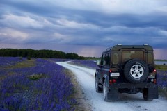 Digital Image Picture Photo Pic Wallpaper Background SUV On Road Purple Flowers