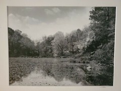 RIVER TREES LARGE ORIGINAL SIGNED ART PHOTO B&W STETTNER VTG MATTE NJ CAMERA
