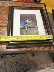 Two Signed Numbered Framed Bird Photographs Cardinal Bluebird By E.J. Kowalski