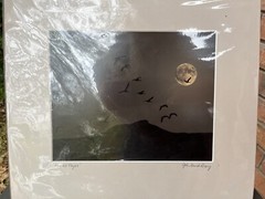 JOHN DAVID GEERY ~ «MOONLIGHT FLIGHT” SIGNED DIGITAL COMPOSITE PHOTO ~ 15” x 13”