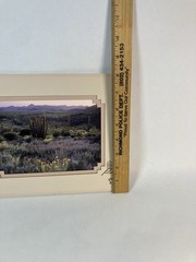 Southwest Sonoran Desert Photo Print,Kokopelli Cut Out Matte