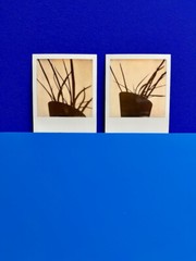 2 x Polaroid, unique, flows, photo, photography, instant image, art, art