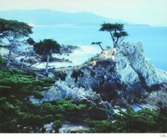 Robert Sheer Spirits Honoring the Lone Cypress Single Exp Photograph Hand signed