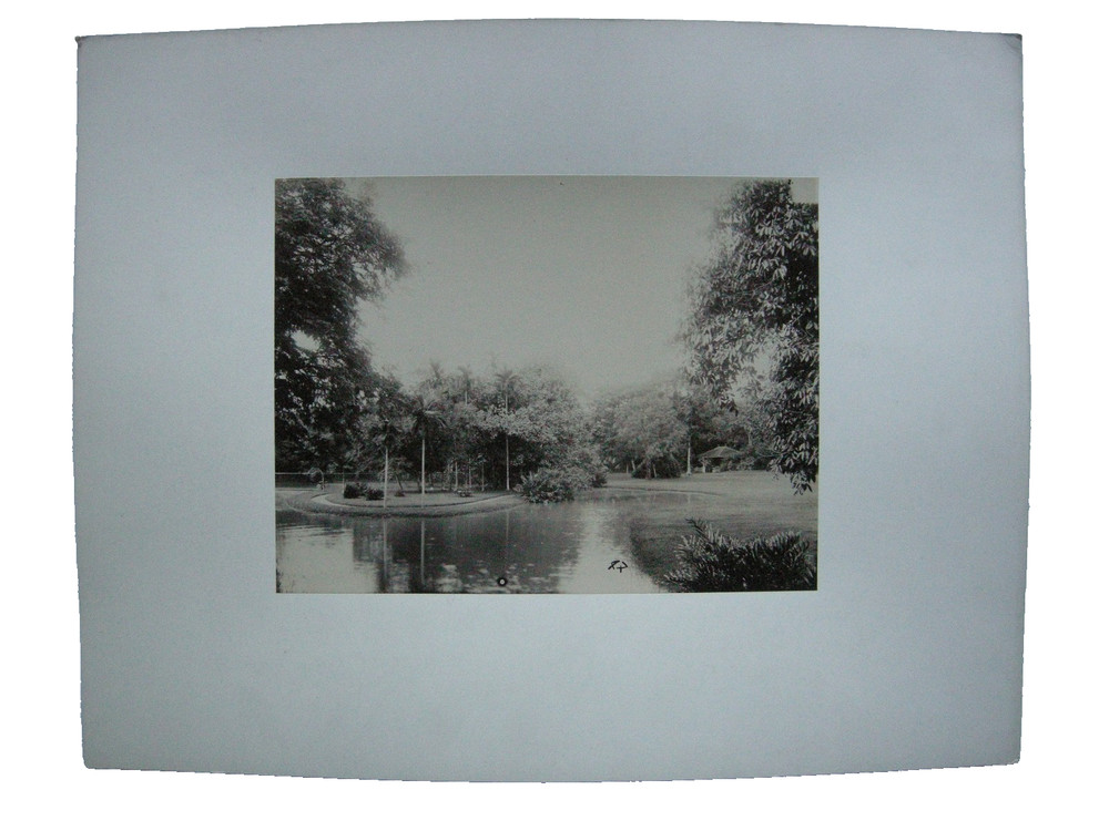 Saigon Vietnam Botanical Garden Botanical 1890 Albumin Photo Ho Chi Minh City
