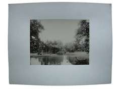 Saigon Vietnam Botanical Garden Botanical 1890 Albumin Photo Ho Chi Minh City