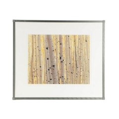 Nashville South: Rick Preston Large Photograph «Forest Sunrise» (1996)