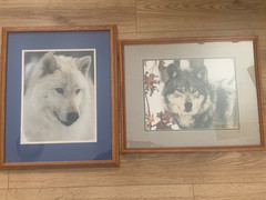 Rocky Holland Signed Wolf Photographs Framed Pair 21×17 Arctic & Gray Wolves