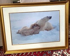 Art- Wildlife Photographer, Thomas Mangelsen Signed/Limited edition /Polar Bears