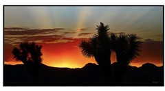 Sunset Rays