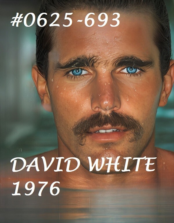 VINTAGE MALE PORTRAIT #0625-693 -david white 1976- free shipping in usa