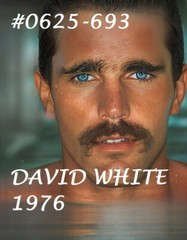 VINTAGE MALE PORTRAIT #0625-693 -david white 1976- free shipping in usa
