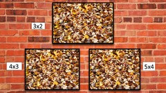 Fall Colored Dead Leaves 2, High Resolution Image, Many Formats, TV Art