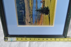 Framed & Matted Photograph by Susan Slapin WA. USA Aluminum Metal Print Signed