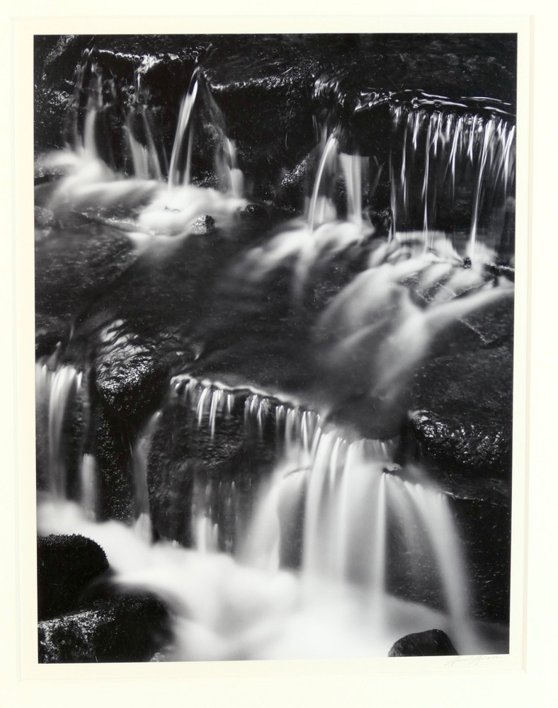 ADAMS, Ansel. (1902–1984) Fern Spring, Dusk Yosemite Valley, California