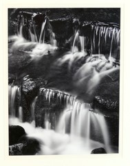 ADAMS, Ansel. (1902–1984) Fern Spring, Dusk Yosemite Valley, California