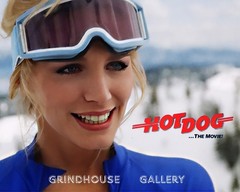 HOT DOG…THE MOVIE 1980’s SHANNON TWEED Sexy Retro HOT Photo Print 1