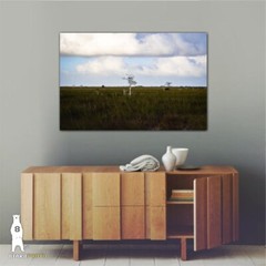 Cypress Prairie – Minimal Landscape Photography Fine Art Prints – Everglades, FL