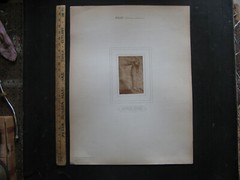 1890s RAPHAEL SANZIO -LEG DRAWING- Carbon Print/Photogravure BRAUN CLEMENS & CIE