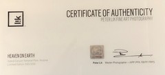 Heaven on Earth by Peter LIK (#595 of 950)  1.5 Metres with COA