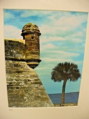 MATTED PHOTOGRAPHY Fort on Water with Tree By Larry Santucci 2009 Acid Free