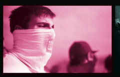 Janine Gordon Color Photograph Mural Mosh Pit Single Total Control of Chaos Pink