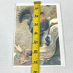 Mali Spiny Tailed Lizard Reptile 3D Photograph Art Phantom Image Barry Rothstein