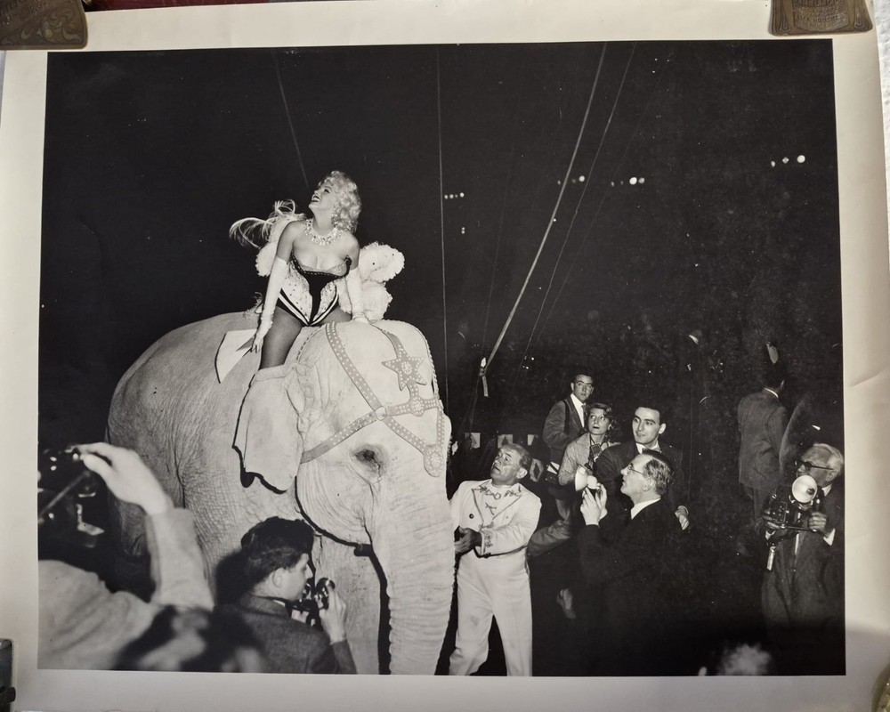 MILTON GREENE: Marilyn Monroe riding a pink elephant at Madison Square Garden