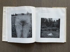 🎈Unique! SIGNED! Harry Callahan 1st Ed 1967 Sherman, Ray Metzker, Weber RARE