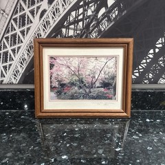 Cherry Blossom Photo Limited Edition # 4/89 Hand Signed Framed 16 1/2”x 13 1/2