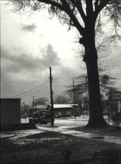 1999 Bruce Weber Oxford Mississippi Old Tree Tanker Truck Art Photo Gravure