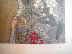 Early 1900s Wallace Nutting LARKSPUR Hand Tinted Colored Photo Signed 7″ x 9″