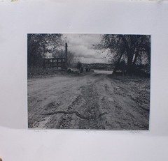 » Snake! » 1982 RAY BELCHER, Silver Gelatin Print , Santa Fe New Mexico