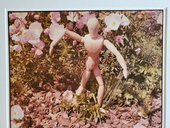 WOODEN FIGURE LARGE ORIGINAL SIGNED ART PHOTO COLOR STETTNER VTG MATTE NJ CAMERA