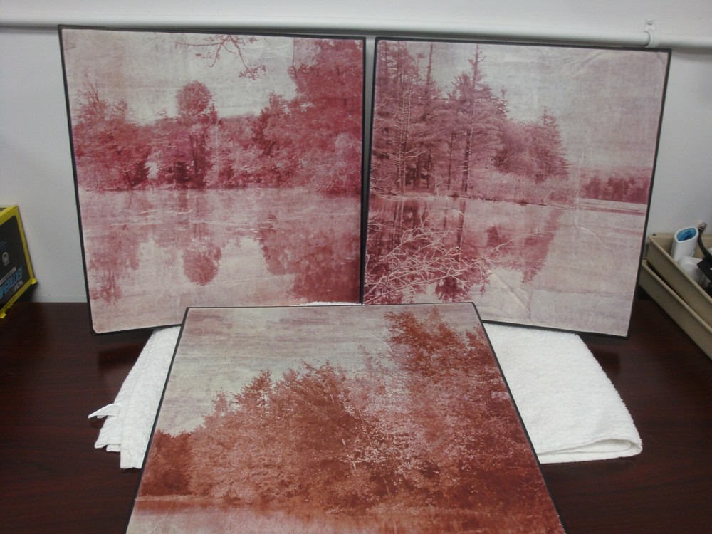 3 prints of Reflective Trees on Water Senery. 16″ x 16″ wood frames