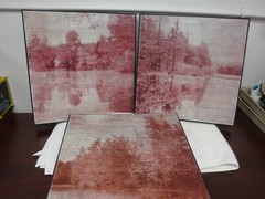 3 prints of Reflective Trees on Water Senery. 16″ x 16″ wood frames