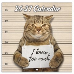 2026-2027 Wall Calendar – July 2026 – December 2027, Funny Cat Calendar 2026-…