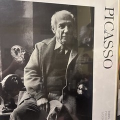 Sanford Roth Photograph Pablo Picasso Paris, 1954 Glass Framed Print Rare Artist