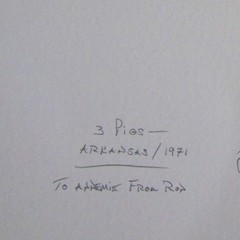 FINE ART PHOTO 3 PIGS ARKANSAS 1971 ARTIST ROB EVANS PHOTOGRAPHER ARCHIVAL PRINT