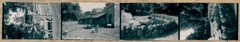 Contact Print Photos Berlin Tiergarten, Zoological Garden, 4 Photos… – 11248228