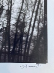 JAMES FEE Signed SEPIA-TONED GELATIN SILVER PRINT Blurred Landscape Los Angeles
