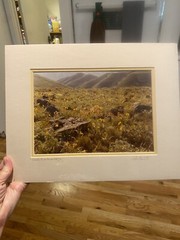 John Clement Snake River Canyon Spring Signed Print Matted 14” X 11”