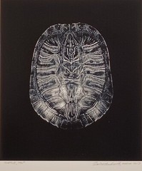 Charles Fendrock ‘Turtle, Top’ Unframed B&W Photograph – Large Format